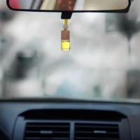 Ароматизатор в автомобиль на 23 Февраля «Блестящих побед», аромат: цитрус Ароматизатор в автомобиль на 23 Февраля «Блестящих побед», аромат: цитрус