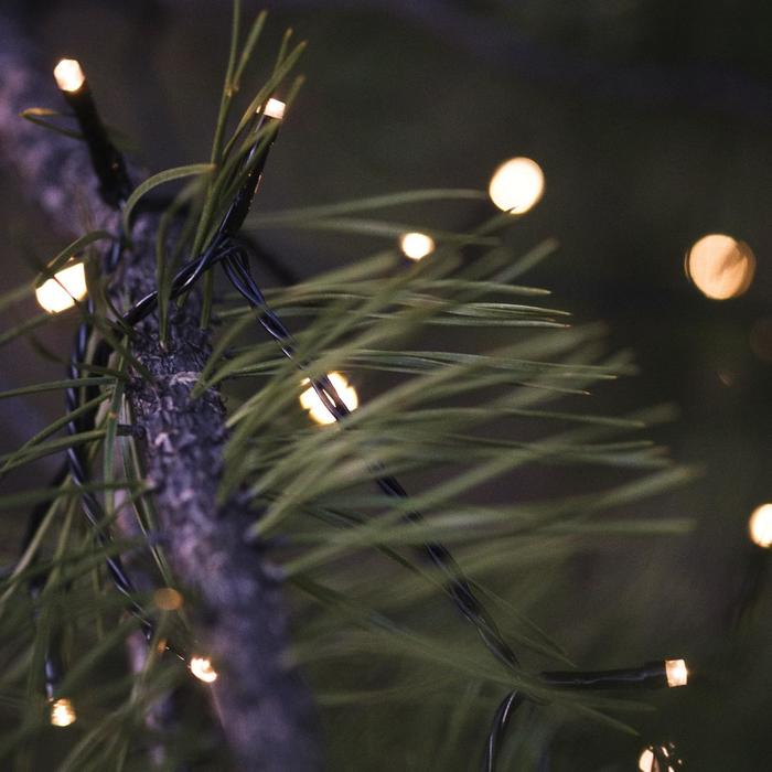 Гирлянда &laquo;Нить&raquo; 10 м, IP44, УМС, тёмная нить, 100 LED, свечение тёплое белое, 220 В