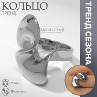Кольцо металл «Тренд» марс, витое, цвет серебро, размер 18 Кольцо металл «Тренд» марс, витое, цвет серебро, размер 18