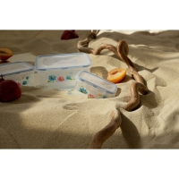 Набор ланч - боксов пластиковых прямоугольных &laquo;Полянка&raquo;, 3 шт: 150 мл, 300 мл, 500 мл, цвет МИКС