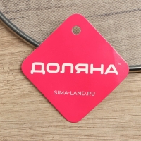 Экран от брызг Доляна, d=24,5 см, с ручкой Экран от брызг Доляна, d=24,5 см, с ручкой