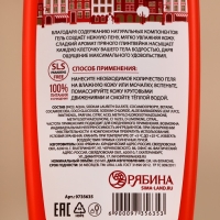 Подарочный набор косметики новогодний, гель для душа 250 мл и мочалка для тела, Новый Год Подарочный набор косметики новогодний, гель для душа 250 мл и мочалка для тела, Новый Год