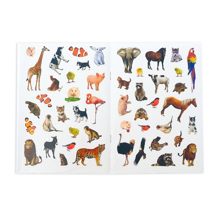 Книжка с наклейками &laquo;Счёт&raquo;, 12 стр.