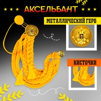 Карнавальный аксельбант &laquo;Солдат на параде&raquo;, золотой