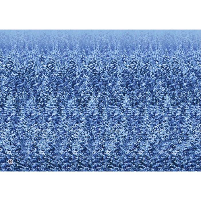 Альбом для тренировки зрения Альбом для тренировки зрения