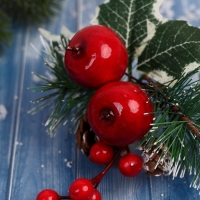 Декор "Зимние грезы" яблоки снежные еловые веточки шишки, 16 см