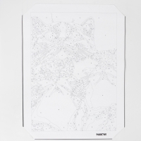 Картина по номерам в тубусе &laquo;Котята&raquo;, 30 х 40 см