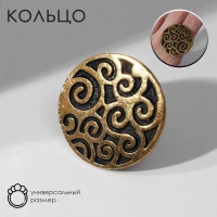 Кольцо «Этника» узорчатый круг, цвет чернёное золото, безразмерное Кольцо «Этника» узорчатый круг, цвет чернёное золото, безразмерное