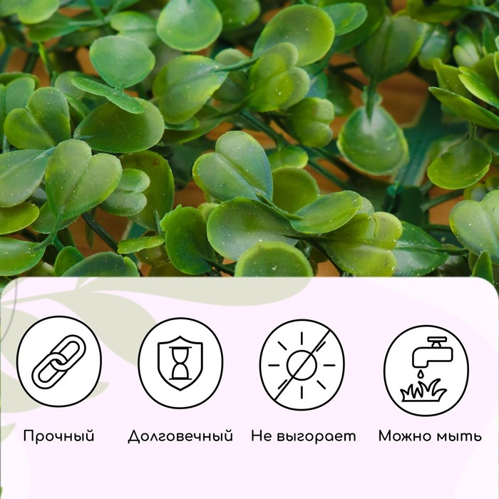 Декоративная панель, 60 &times; 40 см, &laquo;Мокрица&raquo;, Greengo