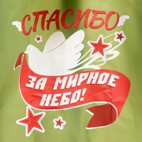 Карнавальный набор &laquo;9 мая!&raquo;, рост 104-152 см, дождевик, флажок