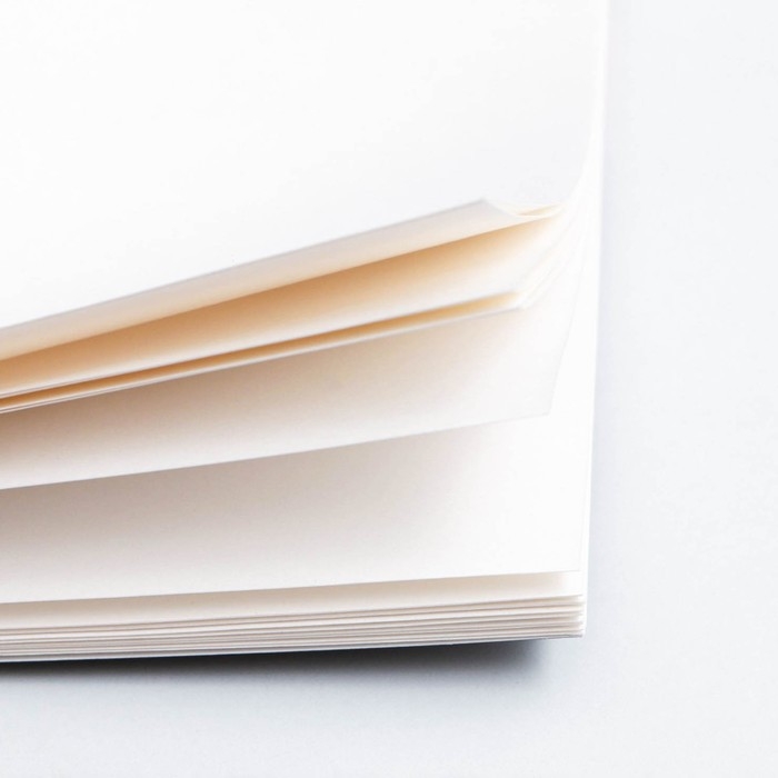 Альбом для рисования А4 24 листа на скрепке «1 сентября: Цветы» обложка 160 г/м2, бумага 100 г/м2. Альбом для рисования А4 24 листа на скрепке «1 сентября: Цветы» обложка 160 г/м2, бумага 100 г/м2.