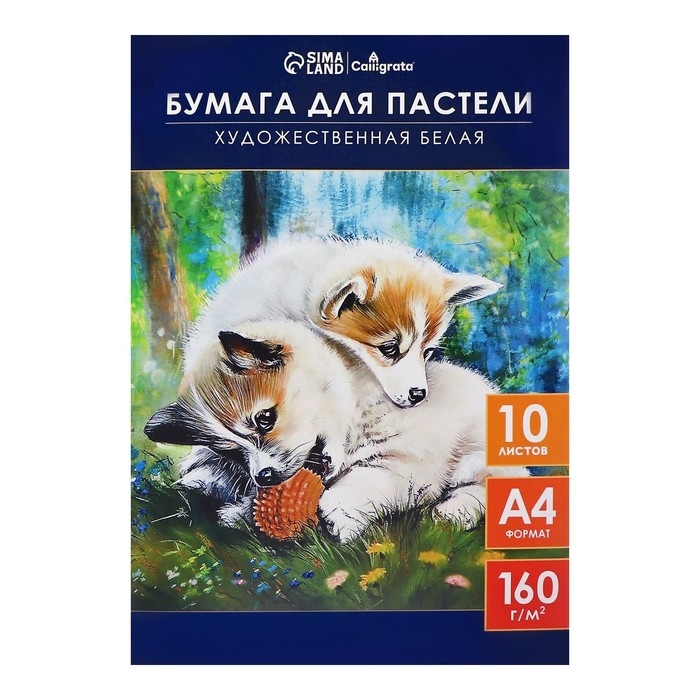Бумага для пастели А4, 10 листов Бумага для пастели А4, 10 листов "Щенки", блок 160 г/м2, в папке