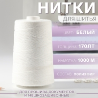 Нитки 170ЛТ, 1000 м, цвет белый №0101 Нитки 170ЛТ, 1000 м, цвет белый №0101