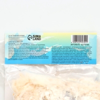 Глоксиния "Этойле де Фью", р-р 5/6, 2 шт