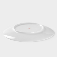 Тарелка фарфоровая &laquo;Ботаника&raquo;, d=20 см