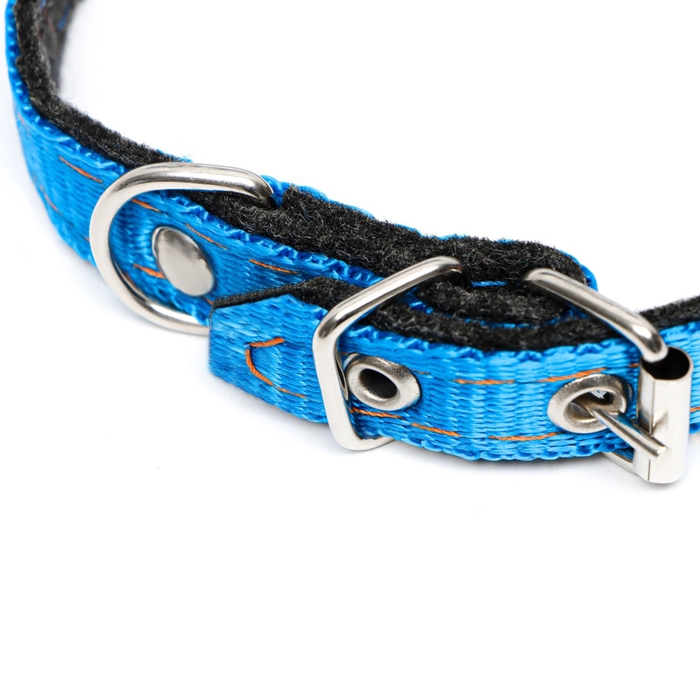 Ошейник капроновый, 30 х 1,2 см, безразмерный, микс цветов