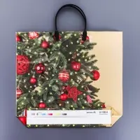 Пакет "Мерцание", полиэтиленовый с пластиковой ручкой, 37 х 33 см.