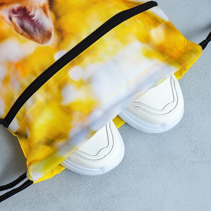 Мешок для обуви &laquo;Забавный корги&raquo; 2 секции, 30&times;40 см