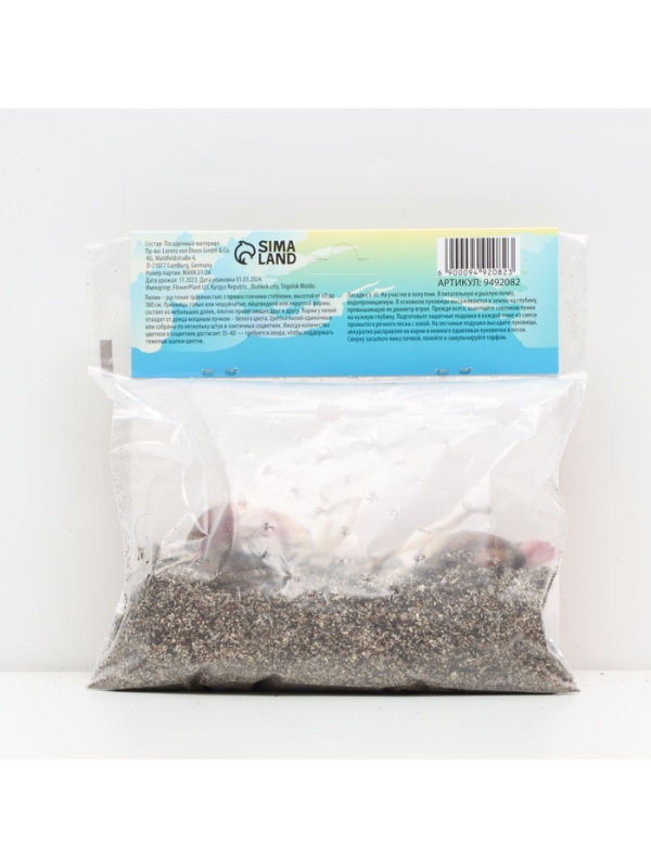 Лилии Трубчатые смотрящие вверх Orange Planet, луковица в пакете с перфорацией, р-р 12/14, 2 шт.