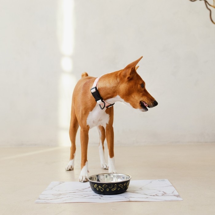 Коврик под миску &laquo;Камень&raquo;, 43х28см