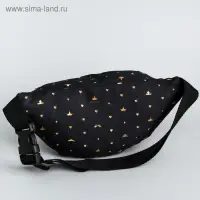 Сумка на пояс Princess, 25&times;6&times;13, отд на молнии, без подклада, черный