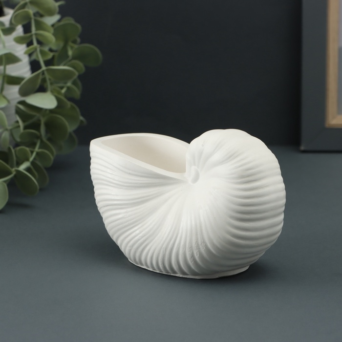 Гипсовая ваза декоративная настольная &laquo;Ракушка&raquo;, для цветов, сухоцветов, 8&times;13х7см, белый