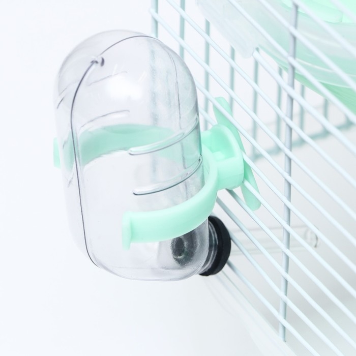 Клетка для грызунов Клетка для грызунов "Пижон", 23 х 17 х 33 см, прозрачная, зелёное наполнение