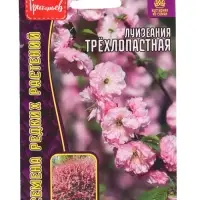 Семена цветов Луизеания Трёхлопастная (Миндаль)  3шт.  12.29 г.