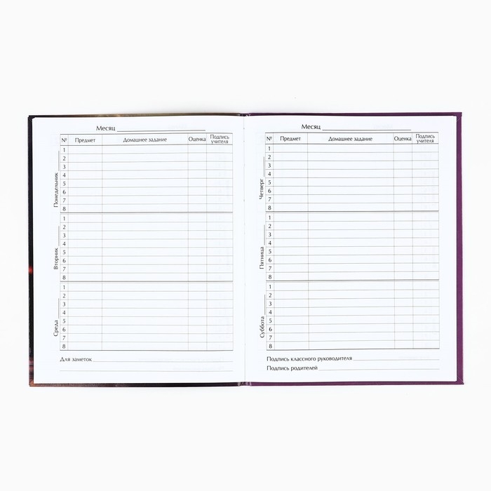 Дневник школьный для 1-11 класса, в интегральной обложке, 40 л. &laquo;1 сентября:Котёнок балерина&raquo;