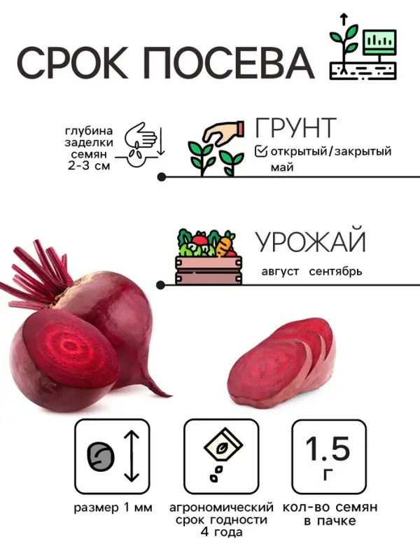 Семена Свекла столовая "Детройт", 1,5 г