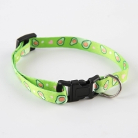 Ошейник для собак и кошек с фастексом &laquo;Авокадо&raquo;, 30х1 см