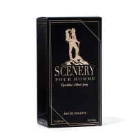 Туалетная вода мужская Scenery, 100 мл