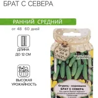 Семена огурца "Брат с Севера", 10 шт.