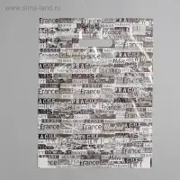 Пакет "Персона", полиэтиленовый с вырубной ручкой, 35 мкм 30 х 40 см