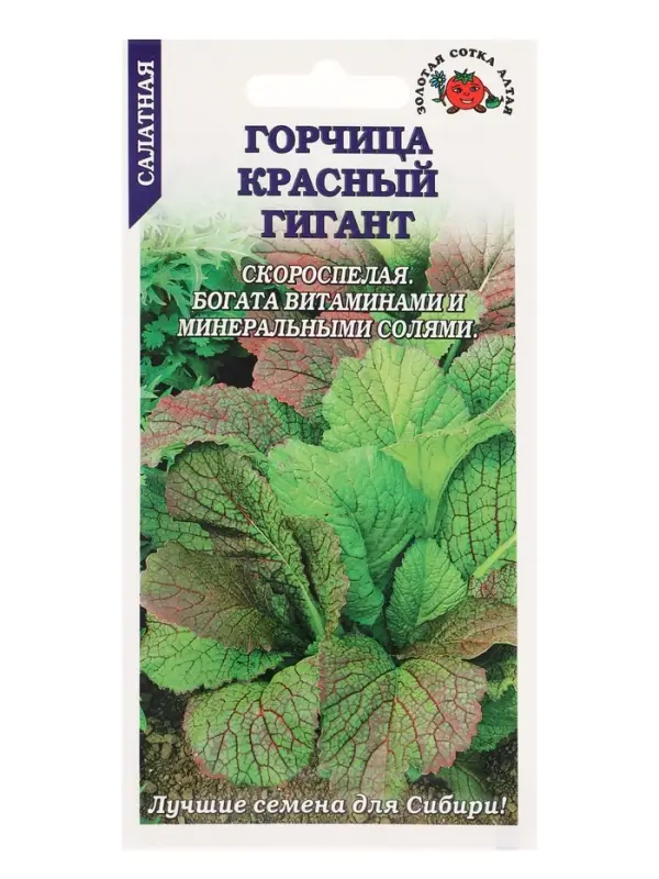 Семена Горчица Красный гигант /Сотка/ 1 г/ суперскоросп. темно-красная /*1000 Семена Горчица Красный гигант /Сотка/ 1 г/ суперскоросп. темно-красная /*1000