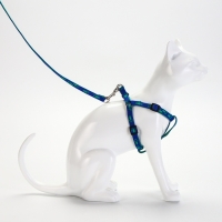 Комплект  "Большая лапа", ширина 1 см, поводок  120 см, шлейка 25-36 см, сине-зелёный