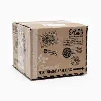 Кружка раскраска + игрушка "Дракончики у ёлки" 9770492