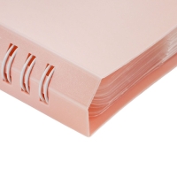 Нотная папка - 20 файлов 40 листов розовая