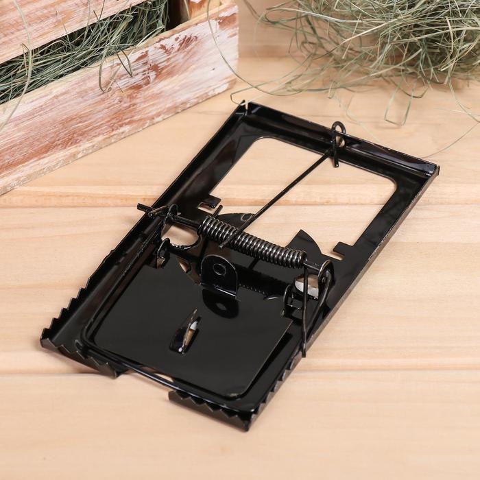 Крысоловка, 8,5 &times; 15 см, металлическая