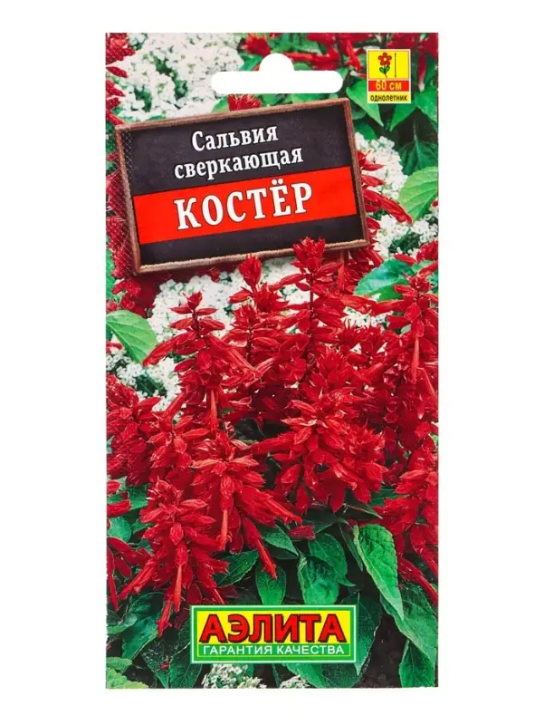 Семена цветов Сальвия Костер , Ц/П,0,1 г