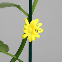 Клипса для растений &laquo;Цветок&raquo;, набор 10 шт., МИКС