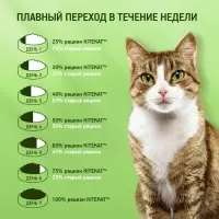 Влажный корм Kitekat для кошек, говядина в желе, пауч, 85 г
