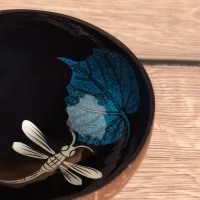 Чаша "Стрекоза" 14х14х6 см, кокос