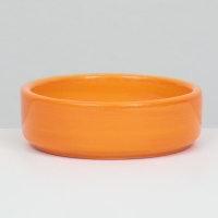 Миска керамическая с морковками 80 мл 8,8 х 8,8 х 3 см, оранжевая Миска керамическая с морковками 80 мл 8,8 х 8,8 х 3 см, оранжевая