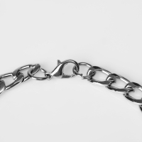 Браслет мужской &laquo;Пряжка&raquo; цепь круглая, цвет серебро, 21 см