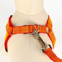 Комплект амуниции рельефный, 2 см, поводок 120 см,красно-жёлтый