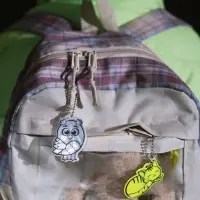 Светоотражающий элемент &laquo;Сова&raquo;, двусторонний, 4,2 &times; 6 см, цвет МИКС