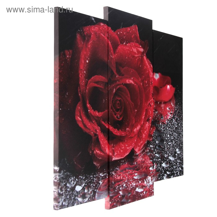 Модульная картина "Роза под дождём"  (2-25х52; 1-30х60) 60х80 см