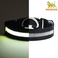 Ошейник с подсветкой, зарядка от USB, размер L, ОШ 41-52 см, 3 режима, черный Ошейник с подсветкой, зарядка от USB, размер L, ОШ 41-52 см, 3 режима, черный
