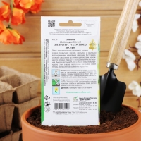 Семена цветов Лизиантус F1( Эустома) АВС грин, 5 шт, Семена цветов Лизиантус F1( Эустома) АВС грин, 5 шт,